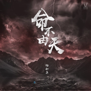🔥38.凤命不由天（55集）