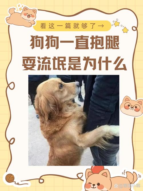 要抱好顶 腿压麦