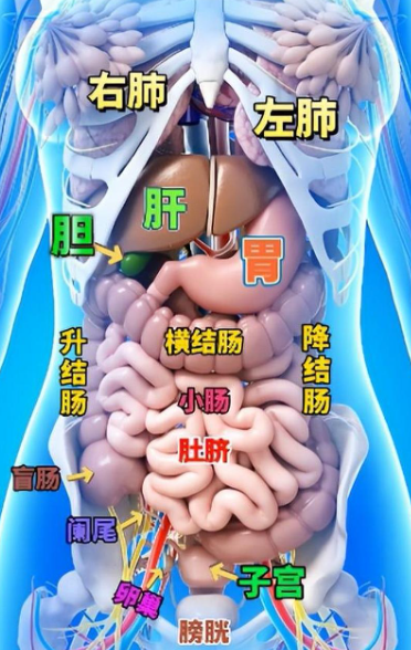 🔥57.穿书妖妃：我靠举报自救上位（35集）